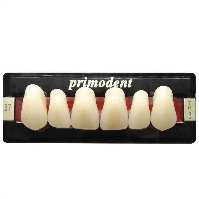 PRIMODENT